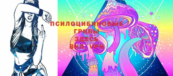 твердый Алексин