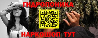 прущая мука Пугачёв