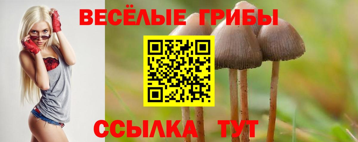 Находка  Псилоцибиновые грибы мицелий  купить наркотик  Вход с VPN  Псилоцибиновые грибы Magic Shrooms 